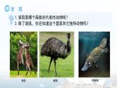 第六節(jié) 澳大利亞 課件 地理人教版（2024）七年級(jí)下冊(cè)第九章