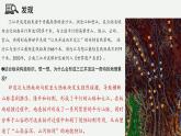 2.3.1 中國的河流（教學(xué)課件）——初中地理湘教版（2024）八年級上冊