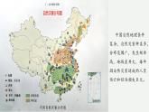 2.4 中國的自然災(zāi)害（教學(xué)課件）——初中地理湘教版（2024）八年級上冊