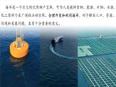 3.4 中國的海洋資源（教學(xué)課件）——初中地理湘教版（2024）八年級上冊