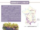湘教版七年級(jí)下冊(cè)地理9.4《法國(guó)》PPT課件