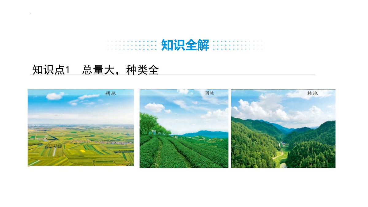 3.1 土地资源 课件-2025-2026学年八年级地理上学期人教版（2024）第7页