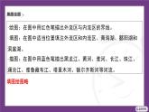 1.2 第2課時　中國的河湖  課件- 2025-2026學年地理晉教版八年級上冊