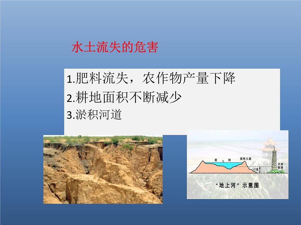 6.3世界最大的黄土堆积区──黄土高原课件2022-2023学年人教版地理八年级下册 课件第8页