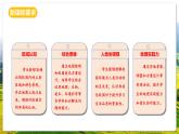 人教版（新課標(biāo)）地理七上第二章 跨學(xué)科主題學(xué)習(xí)——《美化校園》課件+教案