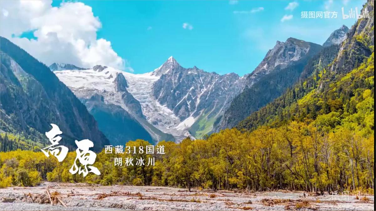 鲁教版（五四制）地理六年级上册3.2《 世界的地形》 课件第4页
