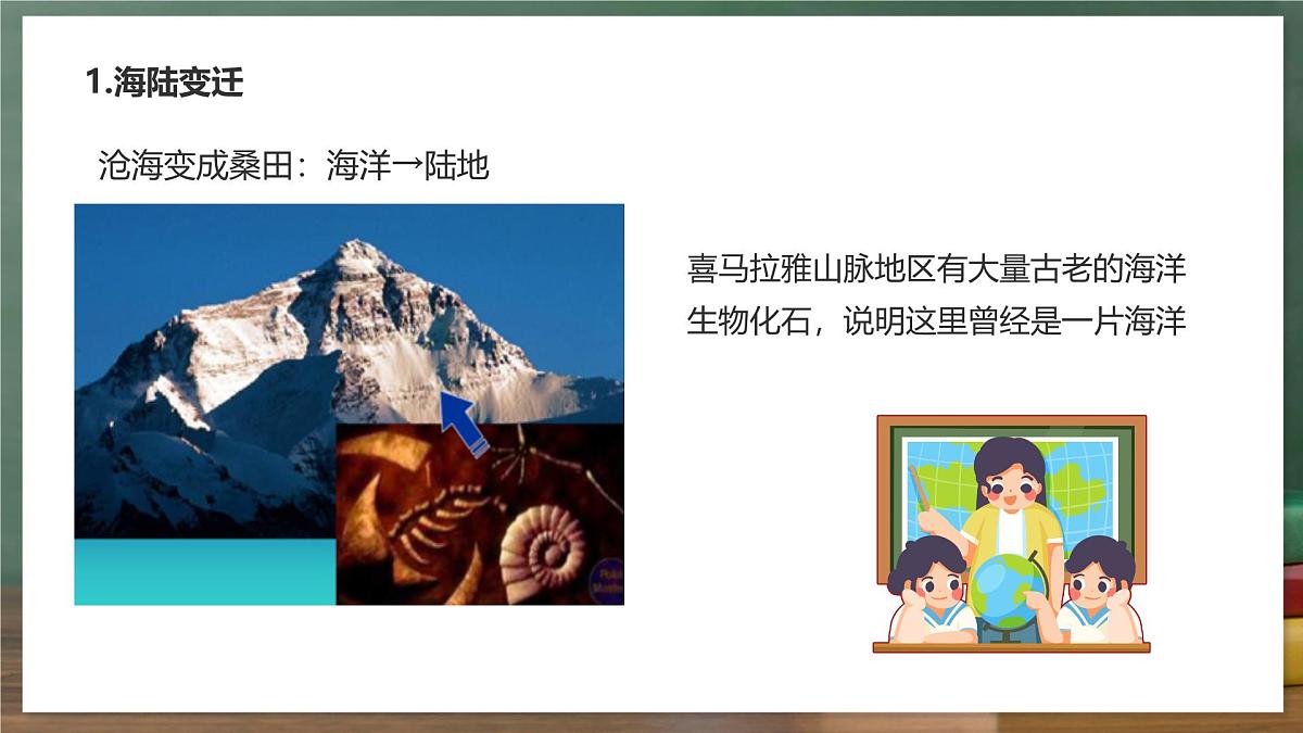鲁教版（五四制）地理六年级上册3.3《 海陆的变迁》 课件第4页