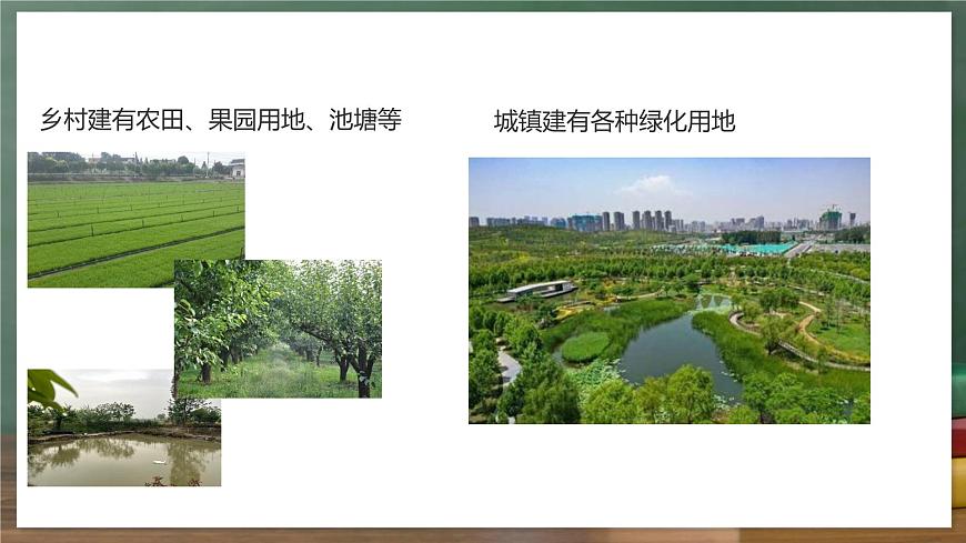 鲁教版（五四制）地理六年级上册5.2 《城镇与乡村》 课件第7页