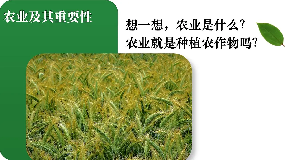 人教版地理八年级上册4.2 农业 课件第4页