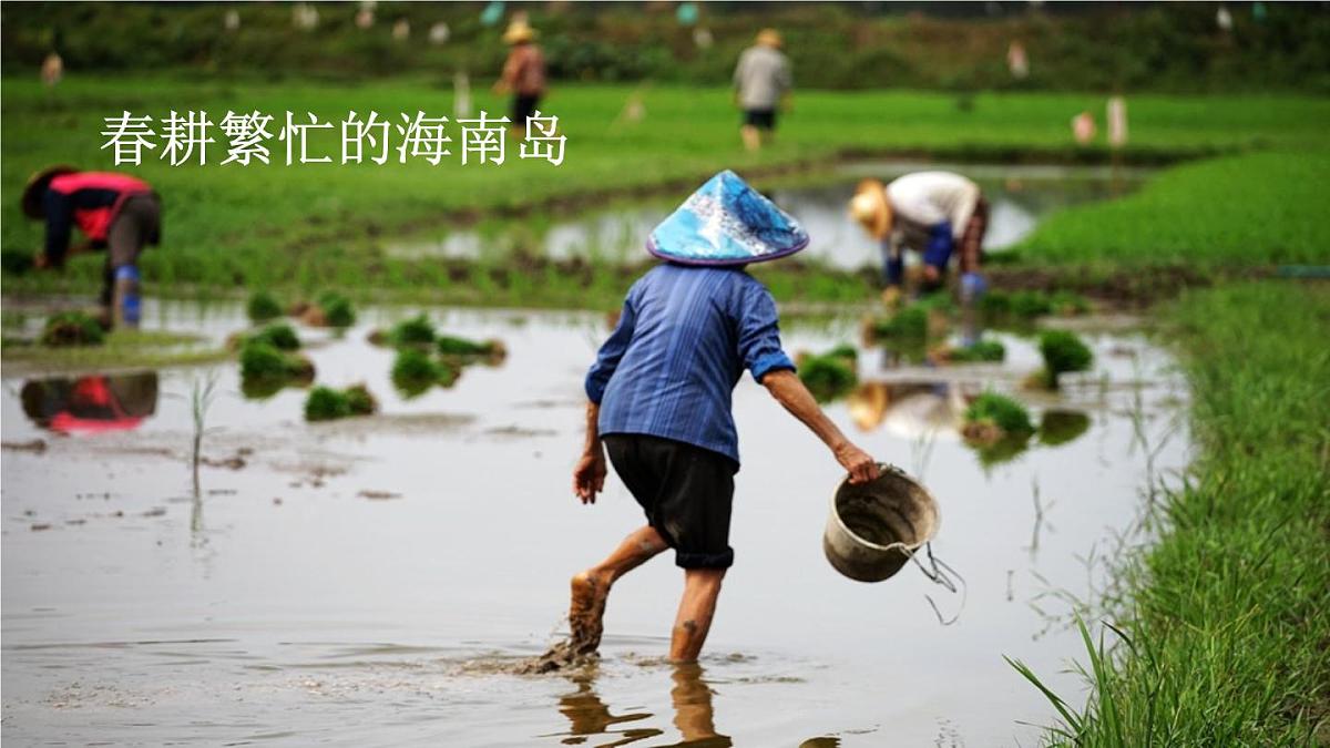人教版地理八年级上册1.1  疆域  课件第4页