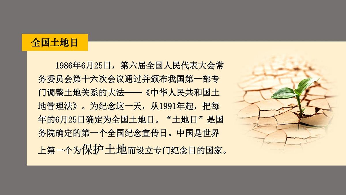 湘教版地理八年级上册3.2 中国的土地资源 课件第3页