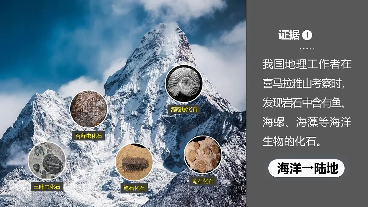 湘教版七年级上册地理3.3 海陆变迁 PPT课件第4页