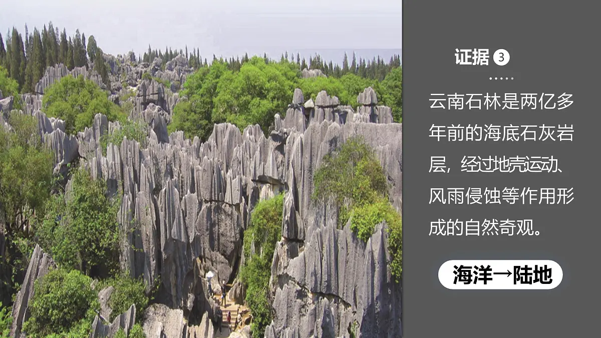 湘教版七年级上册地理3.3 海陆变迁 PPT课件第5页