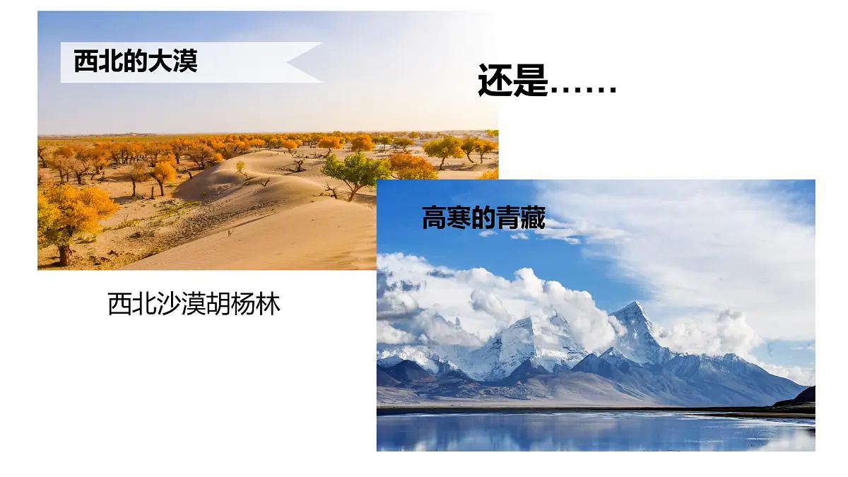 【人教版】七上地理 与同学们谈地理——地理第一课（教学课件）第7页