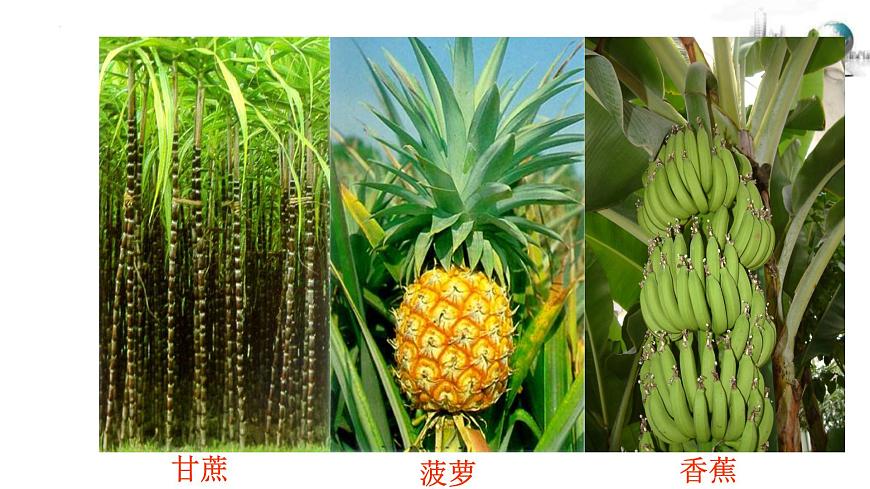 7.6.2第二课时　经济发展特点　海峡两岸经济社会融合发展课件第6页