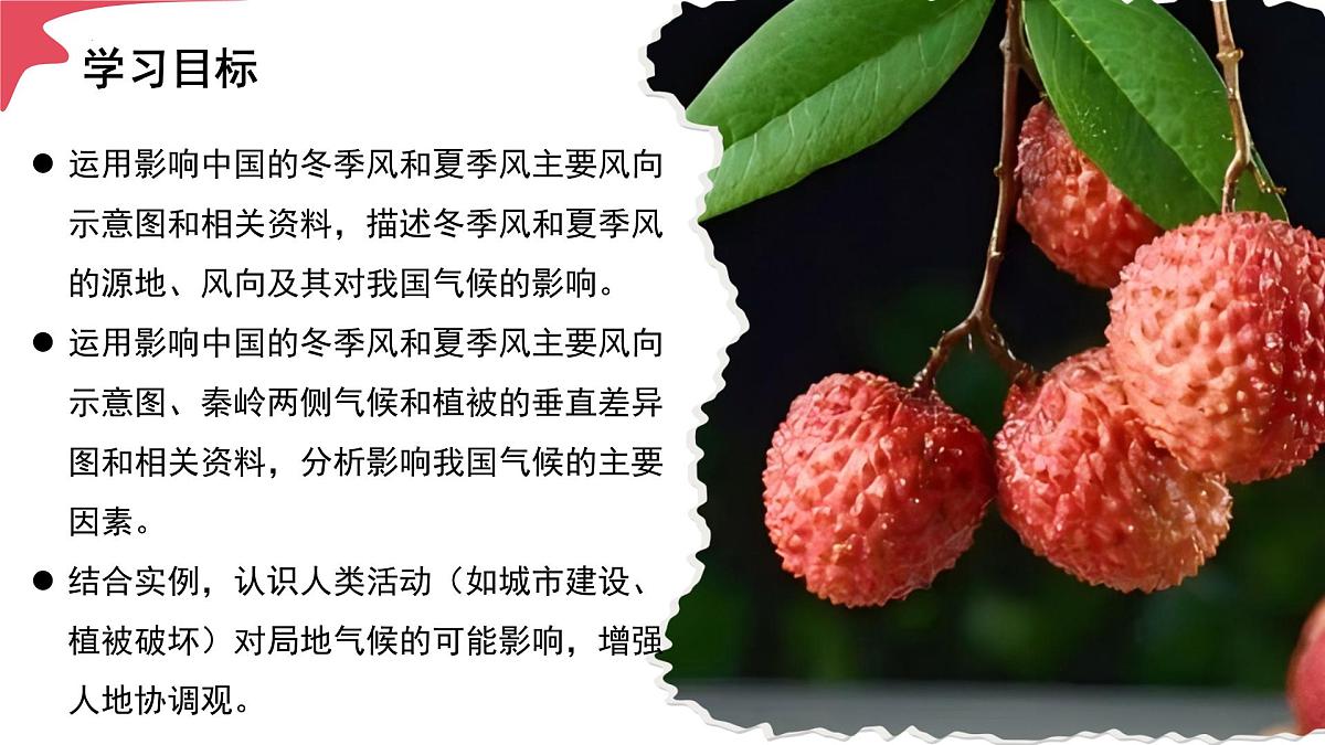 2.2 气候 第3课时（情境任务教学课件）地理人教版2024八年级上册第4页