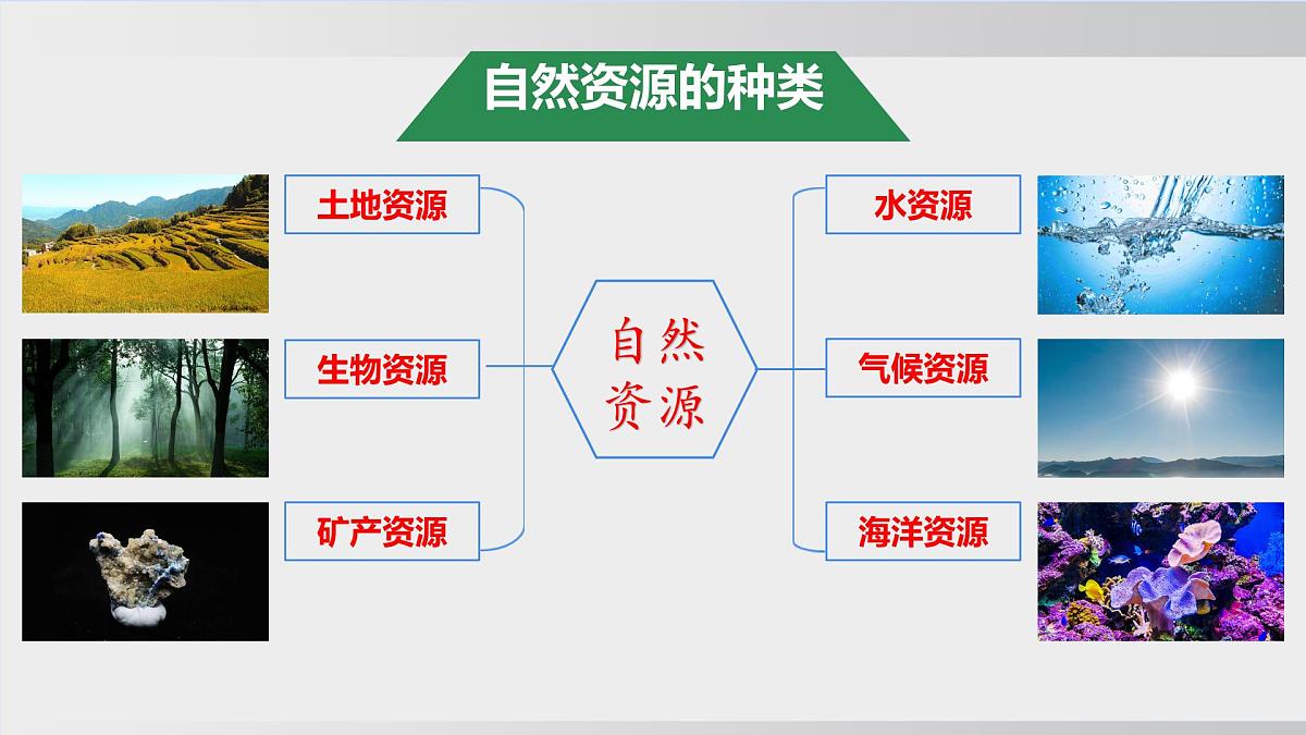 3.1 中国的土地资源（课件） 2025-2026学年湘教版地理八年级上册第4页