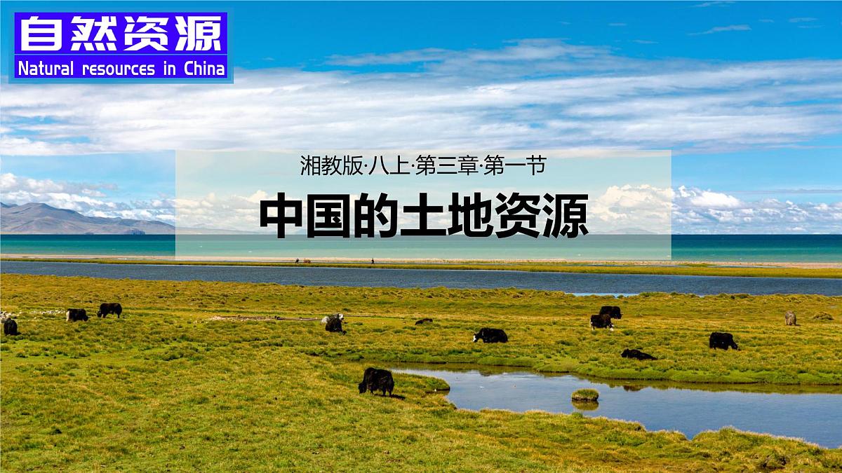 3.1 中国的土地资源（课件） 2025-2026学年湘教版地理八年级上册第8页