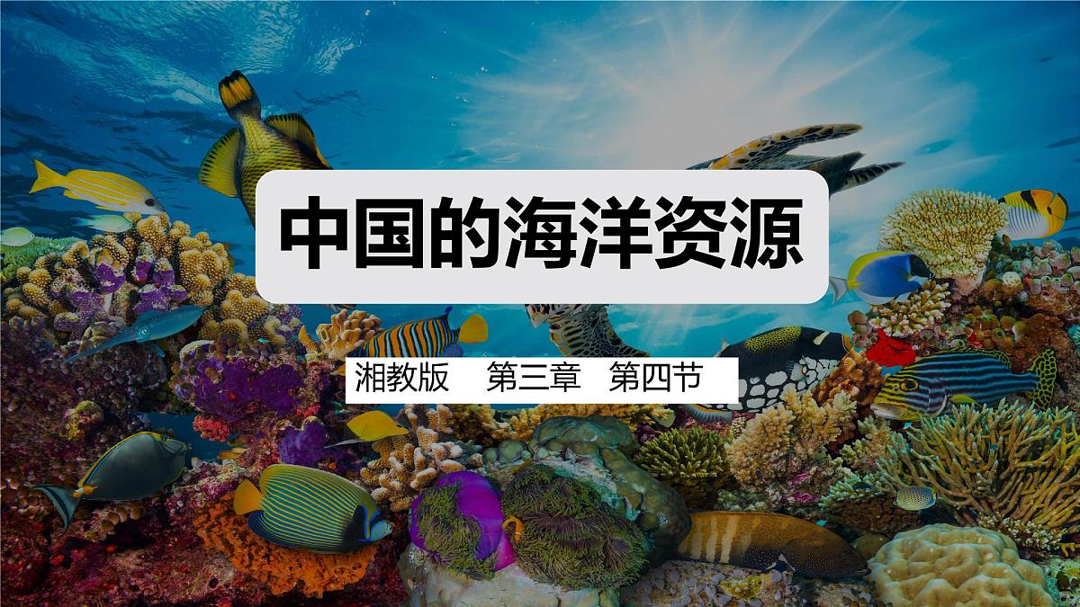 3.4  中国的海洋资源 （课件） 2025-2026学年湘教版地理八年级上册第1页