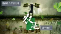 湘教版(2024)八年级上册(2024)第一节 中国的农业教课ppt课件