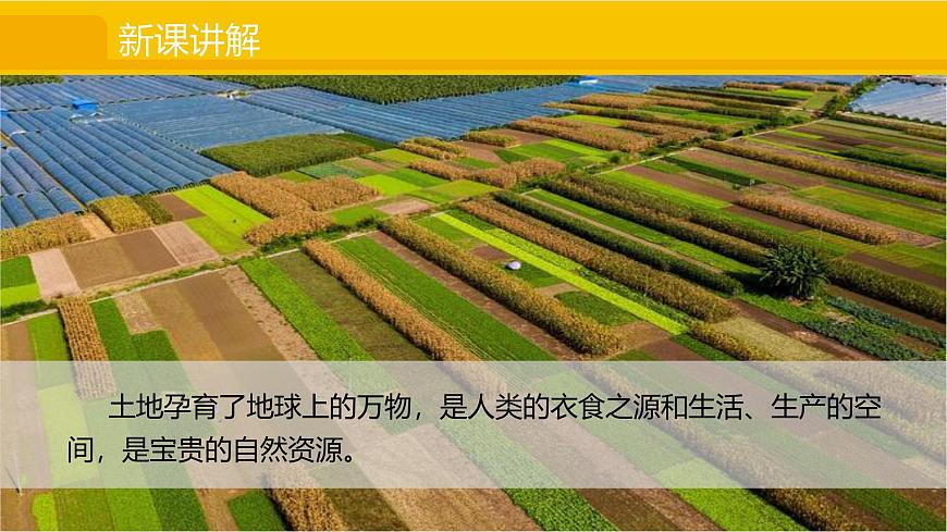 3.1 土地资源 课件2025-2026学年度人教版地理八年级上册第3页