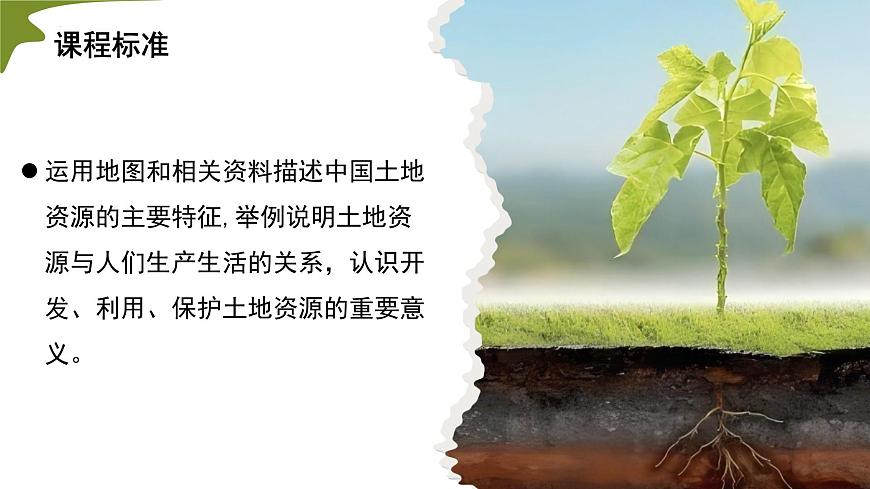 3.1 土地资源 第1课时（情境任务教学课件）地理人教版2024八年级上册第4页
