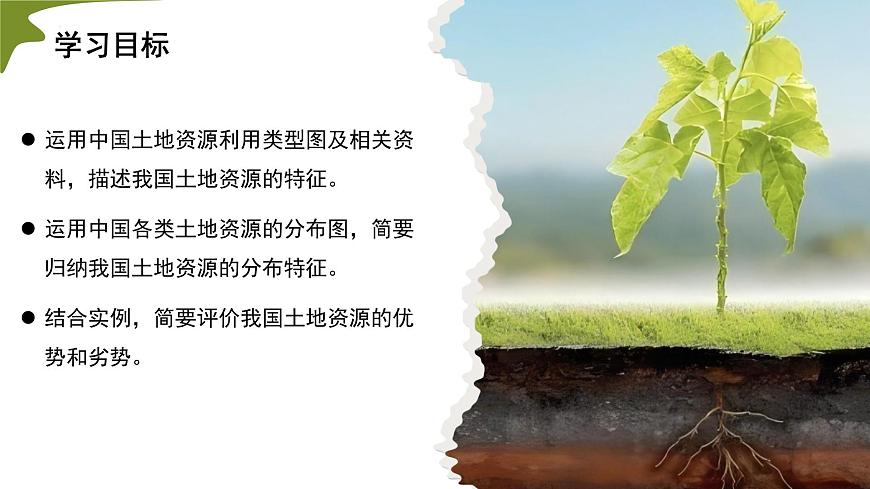 3.1 土地资源 第1课时（情境任务教学课件）地理人教版2024八年级上册第5页