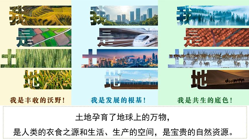 3.1 土地资源 第1课时（情境任务教学课件）地理人教版2024八年级上册第8页