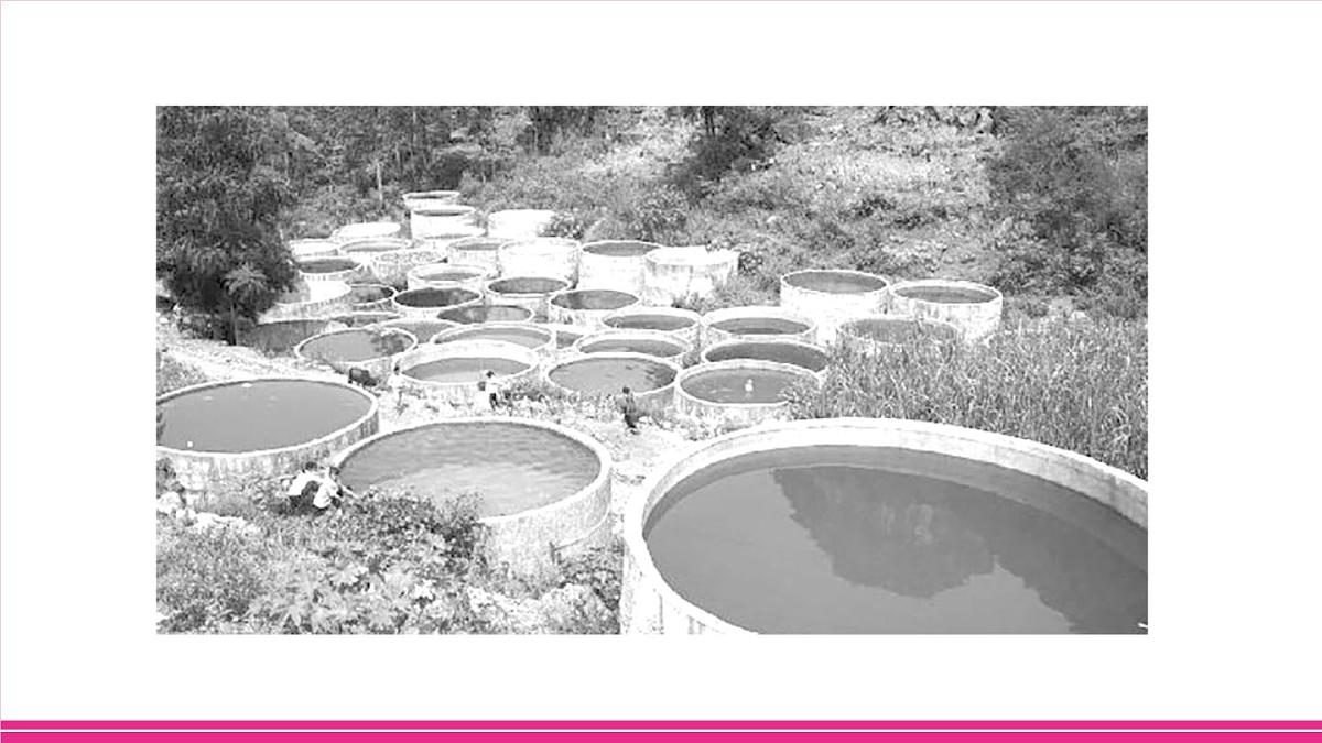 专项三 中国的自然资源第6页