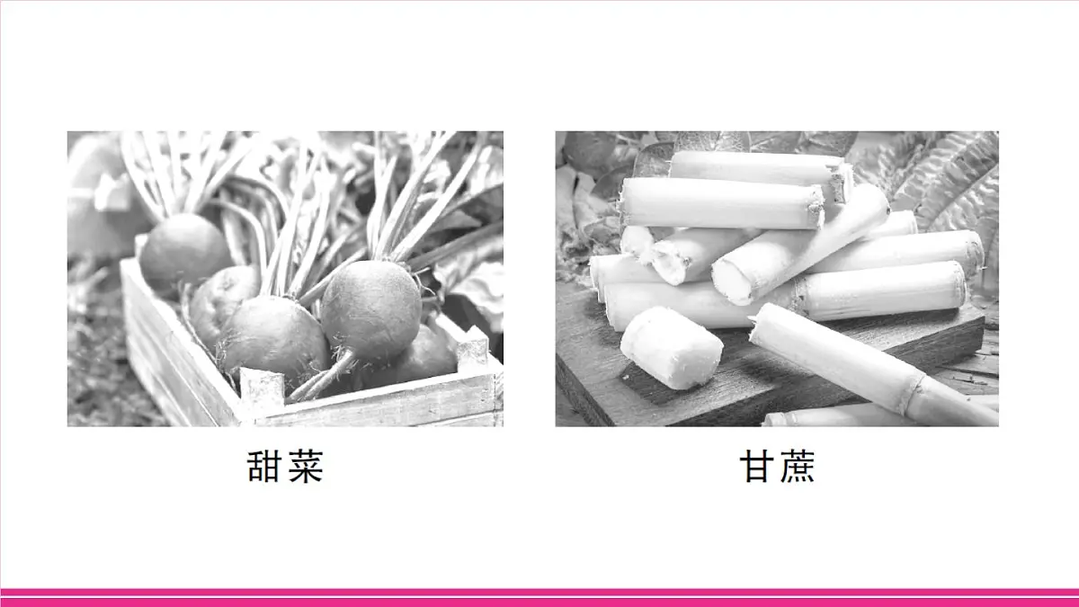 主题一 农业发展与乡村振兴第5页