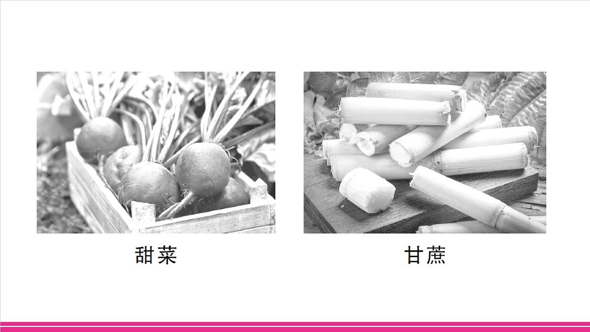 主题一 农业发展与乡村振兴第5页