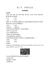 人教版（2024）七年级上册(2024)多样的文化复习练习题