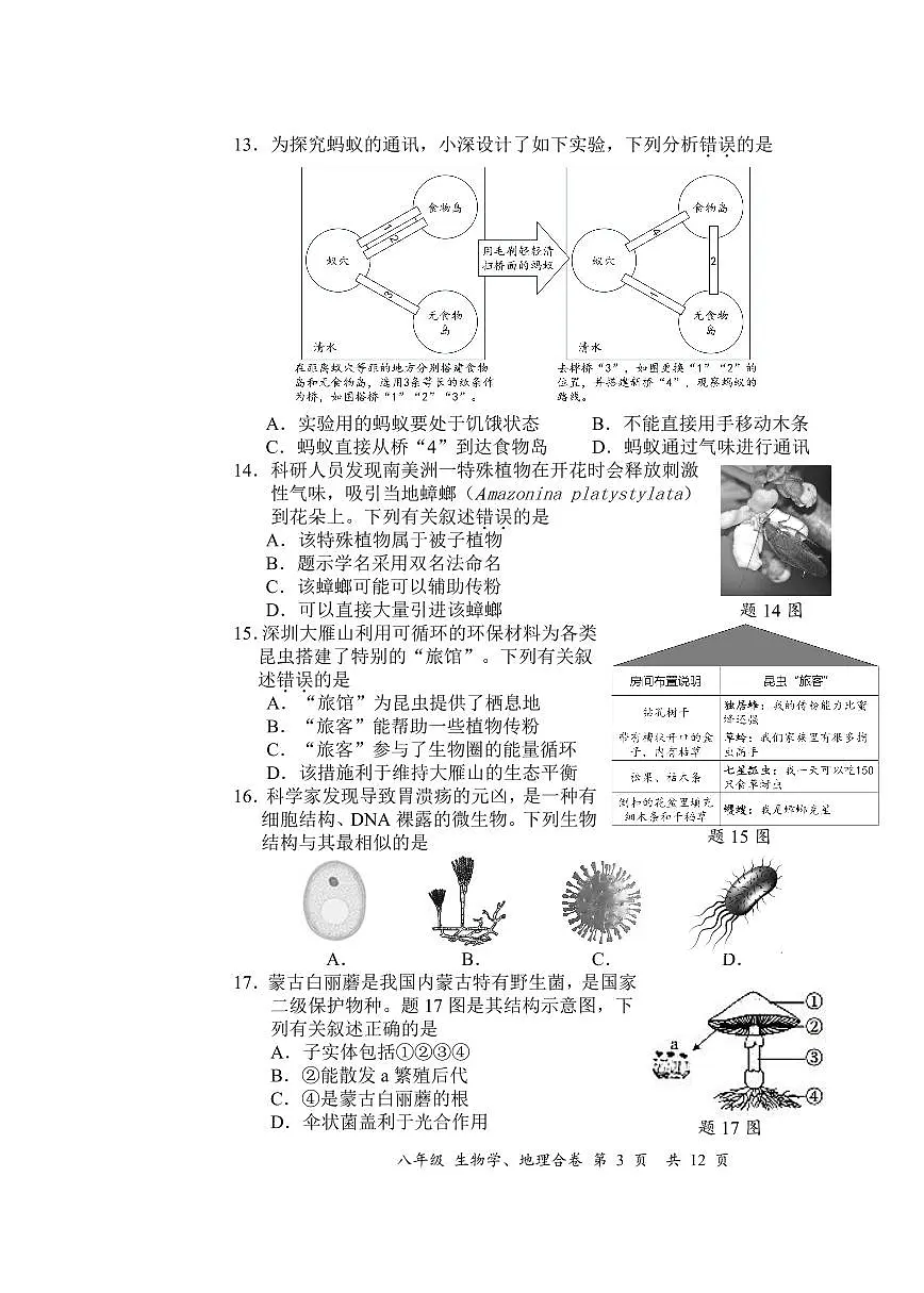 广东省深圳市宝安区2024-2025学年八年级上学期期末考试生物地理试卷 无答案第3页