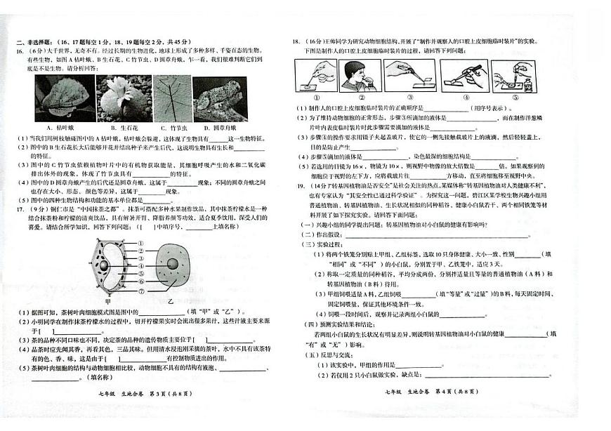 贵州省铜仁市碧江区2025-2026学年七年级上学期11月期中地理•生物试题第2页