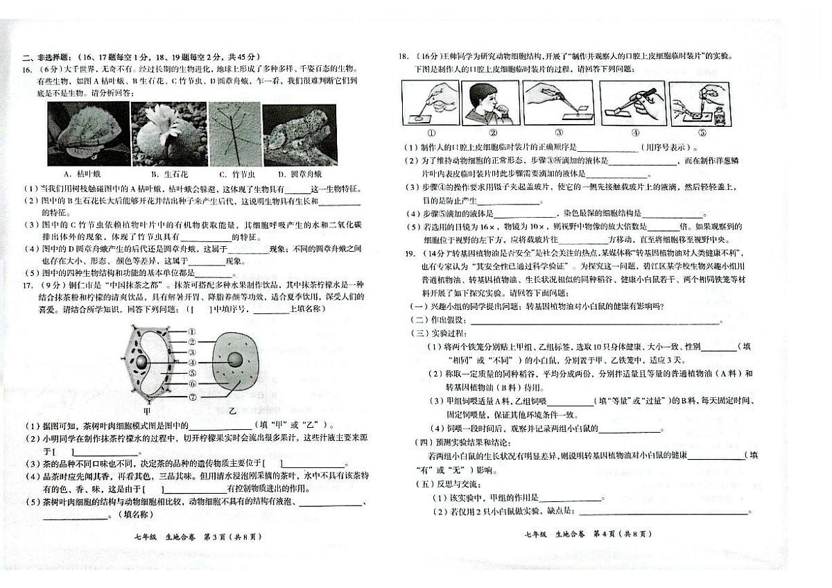 贵州省铜仁市碧江区2025年秋季学期七年级全区期中考试 生物地理合卷试卷+答题卡第2页