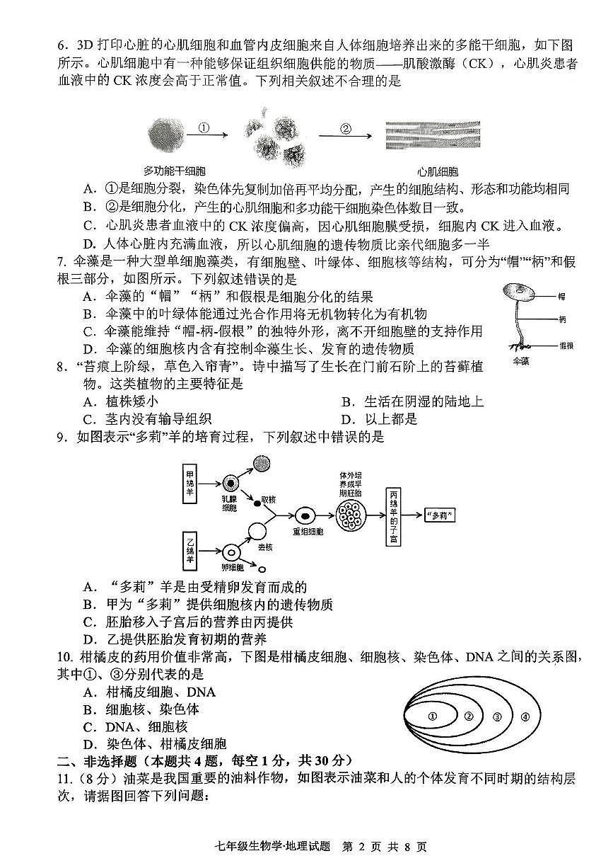 湖北省咸宁市赤壁市2025-2026学年七年级上学期11月期中地理•生物试题第2页