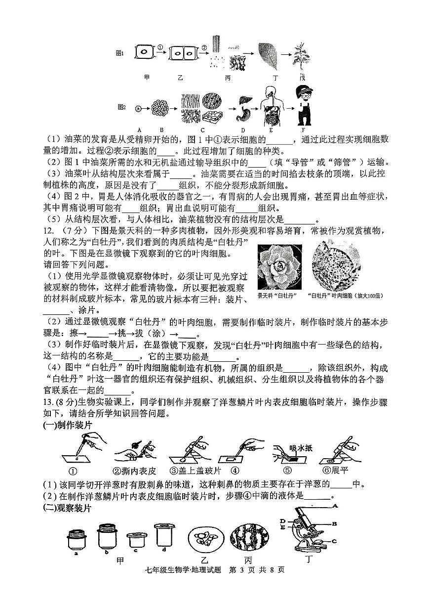 湖北省咸宁市赤壁市2025-2026学年七年级上学期11月期中地理•生物试题第3页