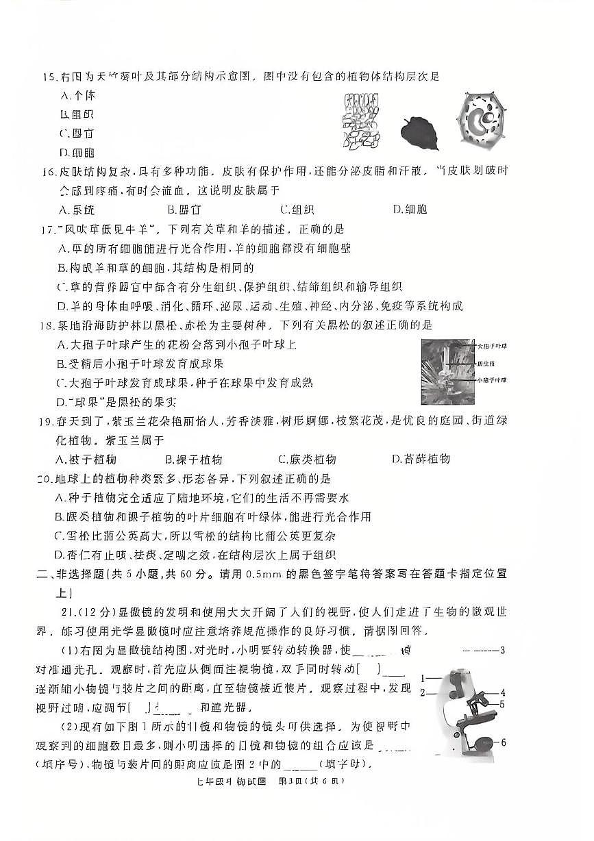 山东省枣庄市滕州市2025-2026学年七年级上学期11月期中地理•生物试题第3页