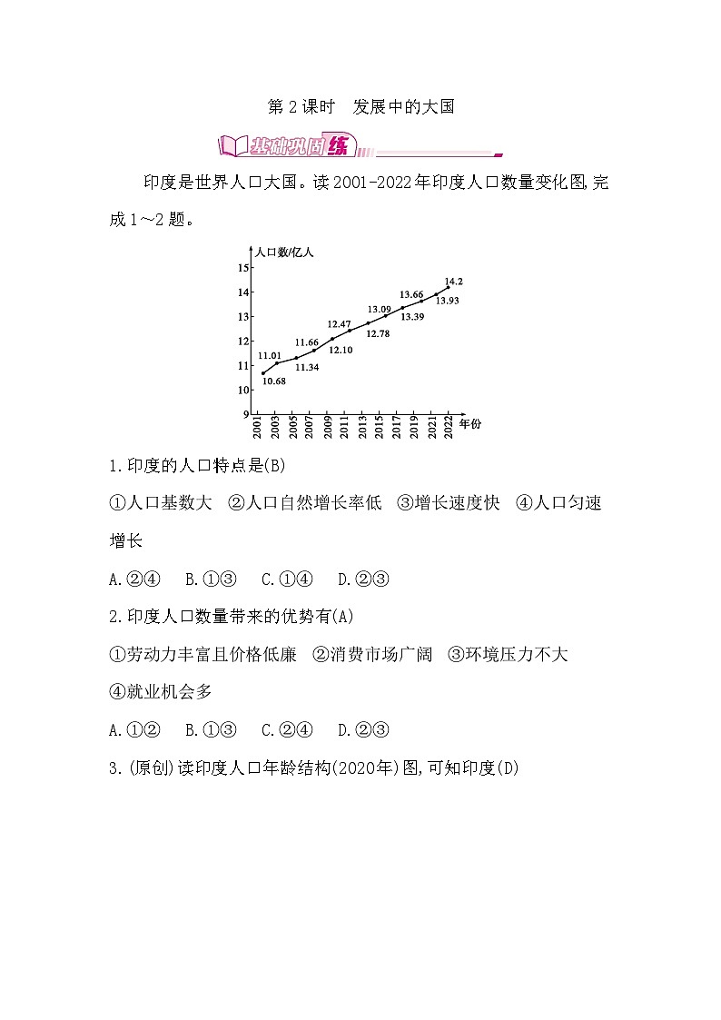 8.2 第2课时   发展中的大国第1页