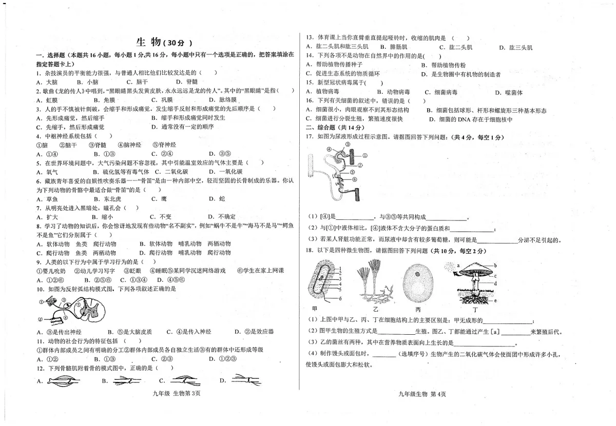 甘肃省武威市2024-2025学年上学期九年级地理、生物期末试卷第2页