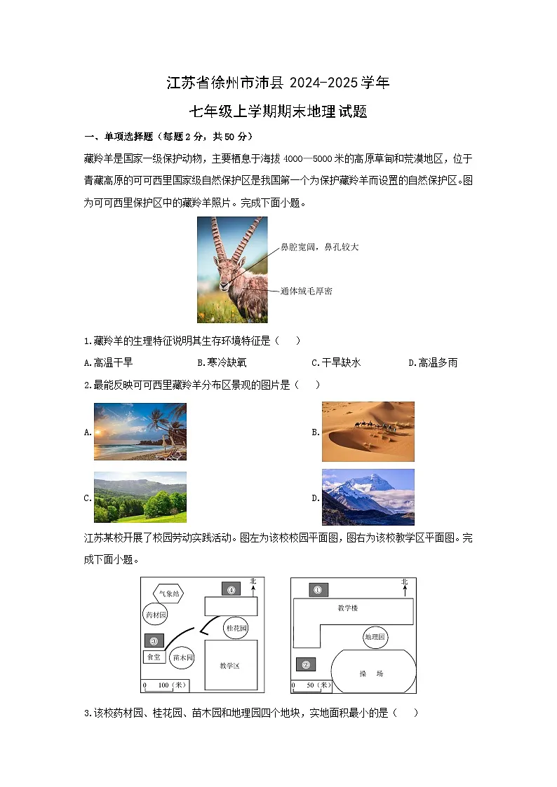 江苏省徐州市沛县2024-2025学年七年级上学期期末地理地理试卷（学生版）第1页