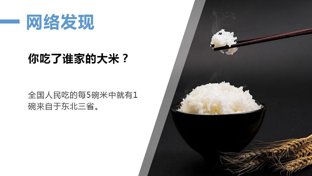 17826654第2页