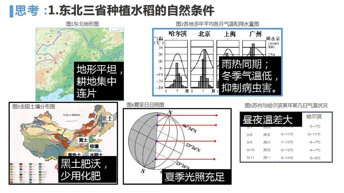 17826654第5页