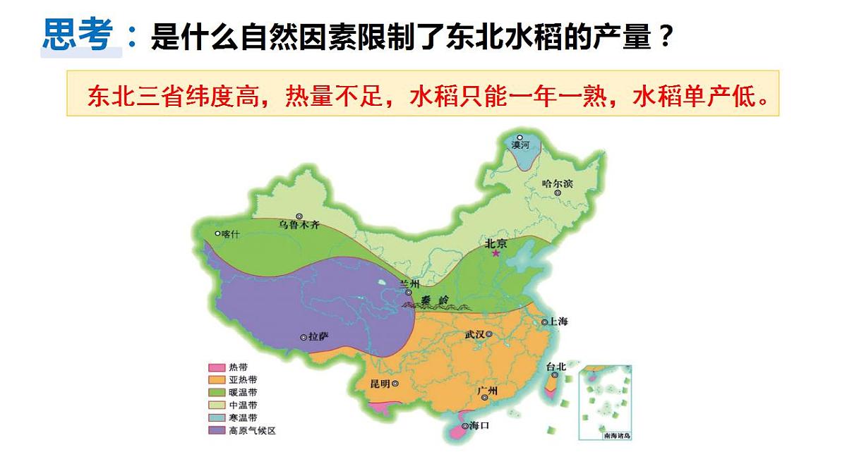 17826654第7页