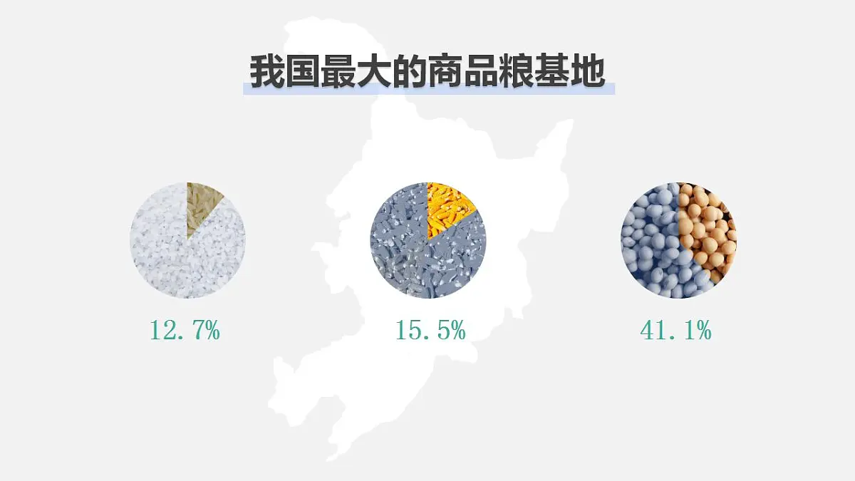 17826654第8页