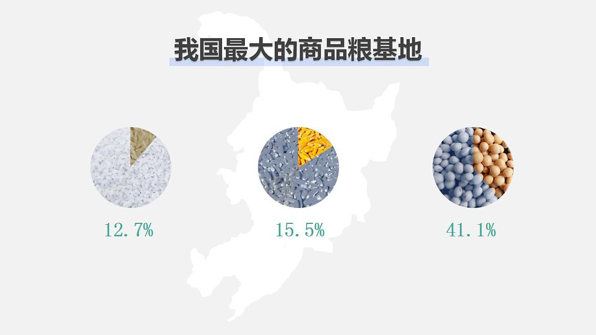 17826654第8页