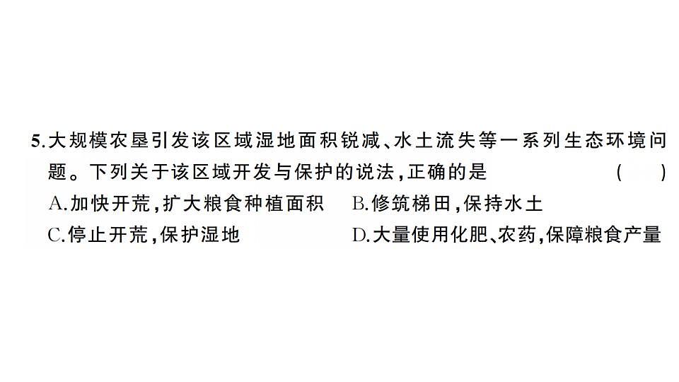 17828718第6页