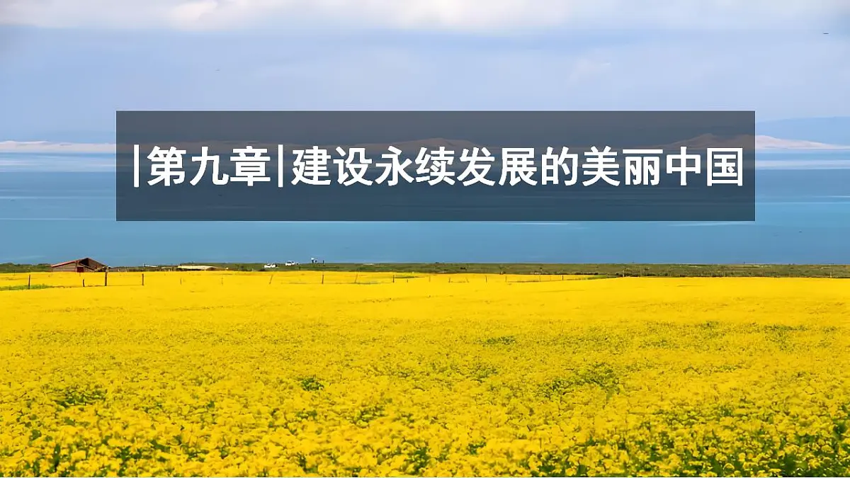 17830924第1页