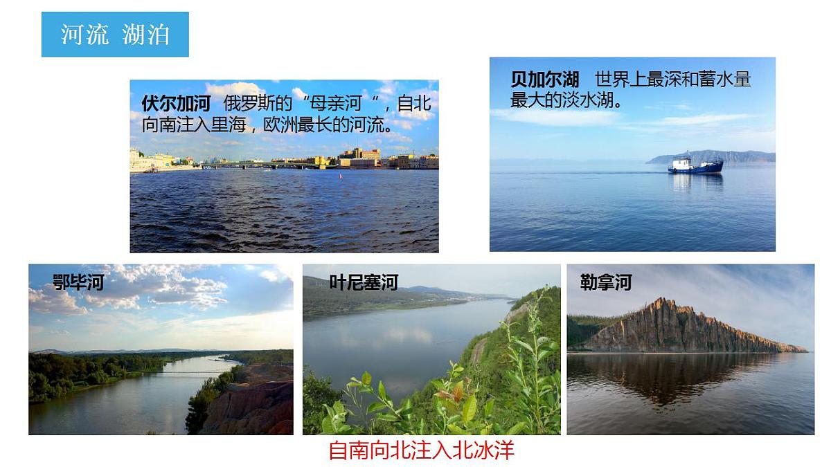 17830936第5页