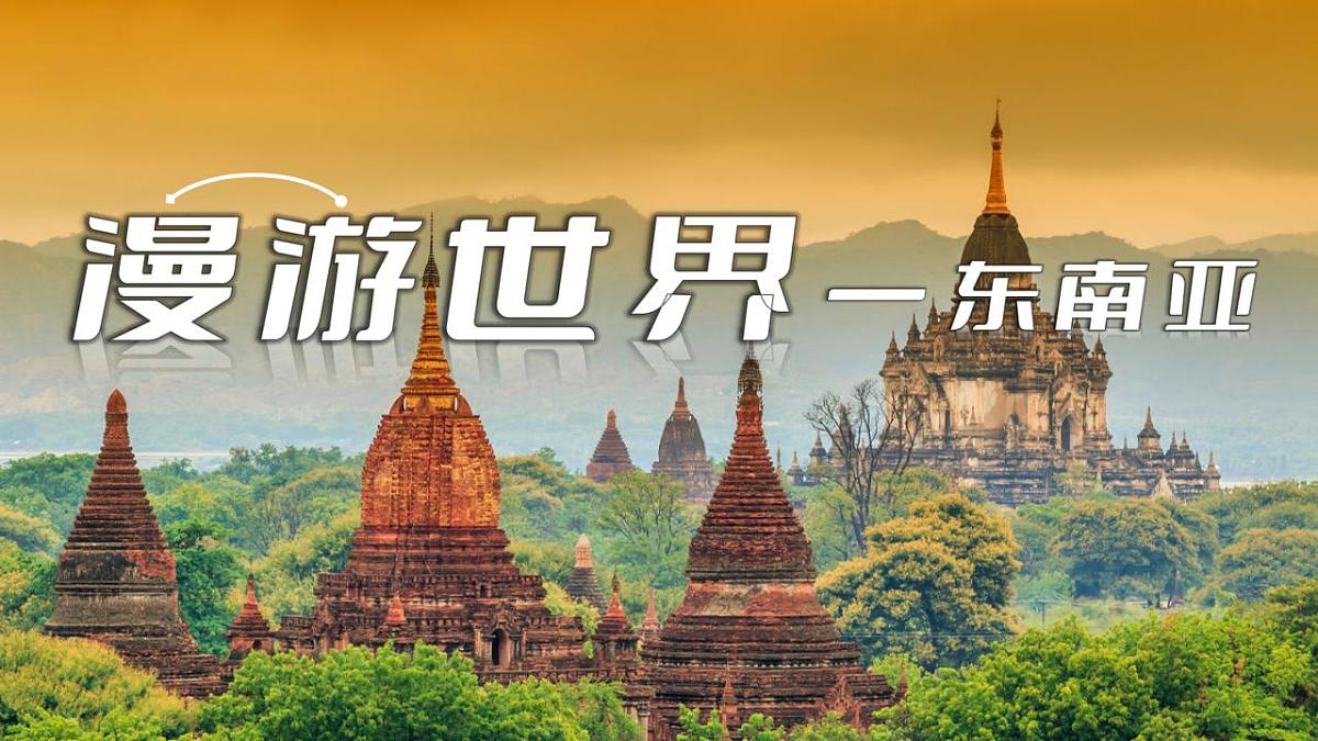 17839773第1页